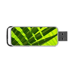 Frond Leaves Tropical Nature Plant Portable Usb Flash (two Sides) by Amaryn4rt