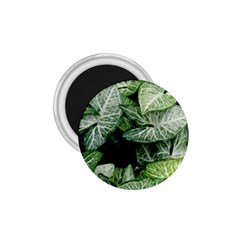 Green Leaves Nature Pattern Plant 1 75  Magnets