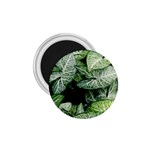 Green Leaves Nature Pattern Plant 1.75  Magnets Front