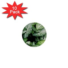 Green Leaves Nature Pattern Plant 1  Mini Buttons (10 Pack) 