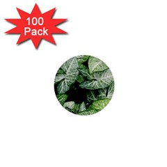 Green Leaves Nature Pattern Plant 1  Mini Buttons (100 Pack) 