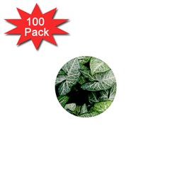 Green Leaves Nature Pattern Plant 1  Mini Magnets (100 Pack)  by Amaryn4rt