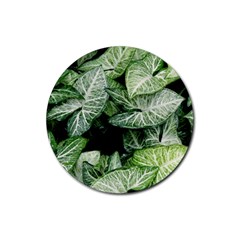 Green Leaves Nature Pattern Plant Rubber Round Coaster (4 Pack) 