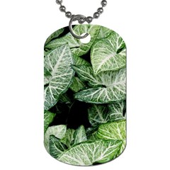 Green Leaves Nature Pattern Plant Dog Tag (one Side) by Amaryn4rt