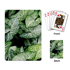 Green Leaves Nature Pattern Plant Playing Card by Amaryn4rt