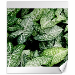 Green Leaves Nature Pattern Plant Canvas 8  X 10 