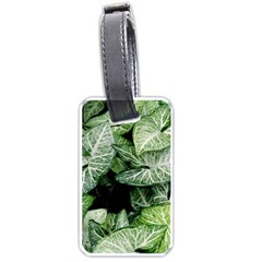 Green Leaves Nature Pattern Plant Luggage Tags (one Side) 