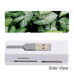 Green Leaves Nature Pattern Plant Memory Card Reader (stick)  by Amaryn4rt