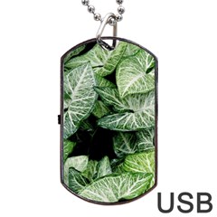 Green Leaves Nature Pattern Plant Dog Tag Usb Flash (two Sides) by Amaryn4rt