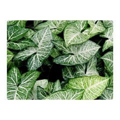 Green Leaves Nature Pattern Plant Double Sided Flano Blanket (mini) 