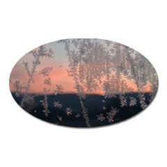 Hardest Frost Winter Cold Frozen Oval Magnet by Amaryn4rt