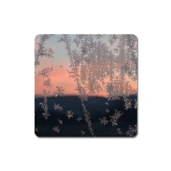 Hardest Frost Winter Cold Frozen Square Magnet by Amaryn4rt