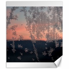 Hardest Frost Winter Cold Frozen Canvas 20  X 24   by Amaryn4rt