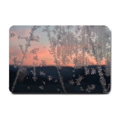 Hardest Frost Winter Cold Frozen Small Doormat  by Amaryn4rt