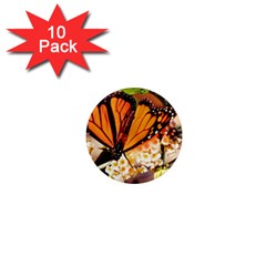 Monarch Butterfly Nature Orange 1  Mini Magnet (10 Pack)  by Amaryn4rt