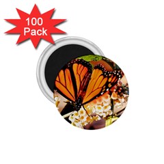 Monarch Butterfly Nature Orange 1 75  Magnets (100 Pack)  by Amaryn4rt