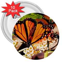 Monarch Butterfly Nature Orange 3  Buttons (10 Pack)  by Amaryn4rt