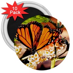 Monarch Butterfly Nature Orange 3  Magnets (10 Pack)  by Amaryn4rt