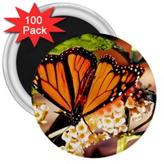 Monarch Butterfly Nature Orange 3  Magnets (100 Pack) by Amaryn4rt