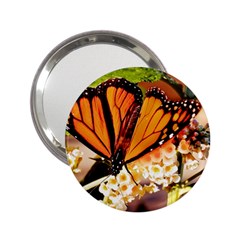 Monarch Butterfly Nature Orange 2 25  Handbag Mirrors by Amaryn4rt