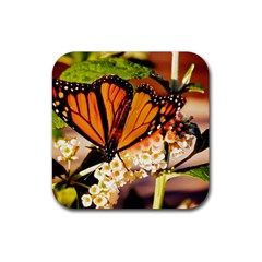 Monarch Butterfly Nature Orange Rubber Coaster (square)  by Amaryn4rt