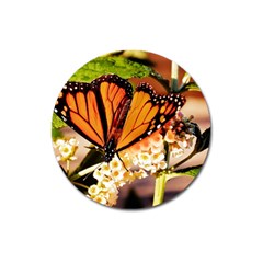 Monarch Butterfly Nature Orange Magnet 3  (round) by Amaryn4rt