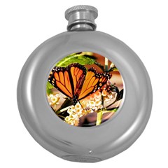 Monarch Butterfly Nature Orange Round Hip Flask (5 Oz) by Amaryn4rt