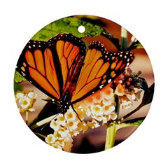 Monarch Butterfly Nature Orange Round Ornament (two Sides) by Amaryn4rt