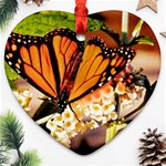 Monarch Butterfly Nature Orange Heart Ornament (Two Sides) Front