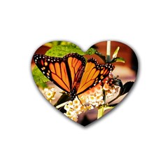 Monarch Butterfly Nature Orange Heart Coaster (4 Pack)  by Amaryn4rt