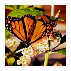 Monarch Butterfly Nature Orange Medium Glasses Cloth (2-side) by Amaryn4rt