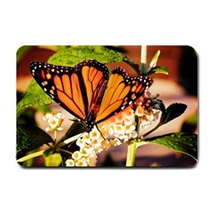 Monarch Butterfly Nature Orange Small Doormat  by Amaryn4rt