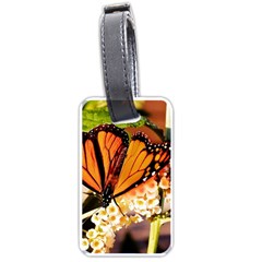 Monarch Butterfly Nature Orange Luggage Tags (one Side)  by Amaryn4rt