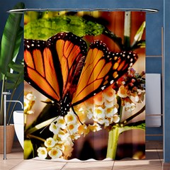 Monarch Butterfly Nature Orange Shower Curtain 60  X 72  (medium)  by Amaryn4rt