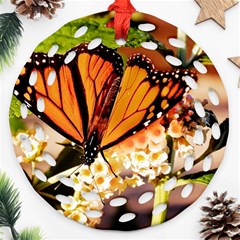 Monarch Butterfly Nature Orange Ornament (round Filigree)