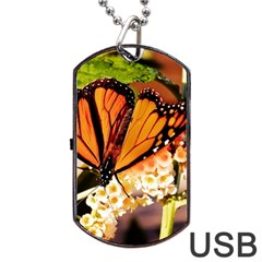 Monarch Butterfly Nature Orange Dog Tag Usb Flash (one Side) by Amaryn4rt