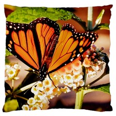 Monarch Butterfly Nature Orange Large Cushion Case (two Sides) by Amaryn4rt