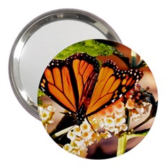 Monarch Butterfly Nature Orange 3  Handbag Mirrors by Amaryn4rt