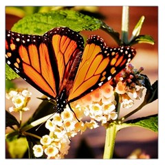 Monarch Butterfly Nature Orange Large Satin Scarf (square) by Amaryn4rt