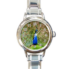 Peacock Animal Photography Beautiful Round Italian Charm Watch by Amaryn4rt