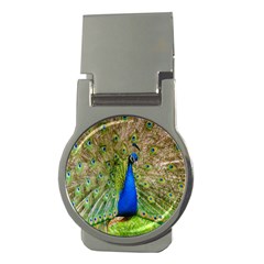 Peacock Animal Photography Beautiful Money Clips (round) 