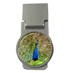 Peacock Animal Photography Beautiful Money Clips (Round)  Front