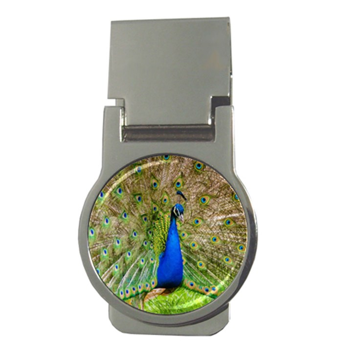 Peacock Animal Photography Beautiful Money Clips (Round) 