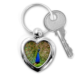 Peacock Animal Photography Beautiful Key Chains (heart)  by Amaryn4rt