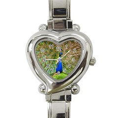 Peacock Animal Photography Beautiful Heart Italian Charm Watch by Amaryn4rt