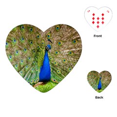 Peacock Animal Photography Beautiful Playing Cards (heart) 