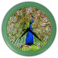 Peacock Animal Photography Beautiful Color Wall Clocks by Amaryn4rt