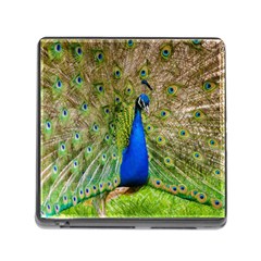 Peacock Animal Photography Beautiful Memory Card Reader (square) by Amaryn4rt