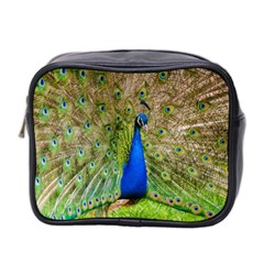 Peacock Animal Photography Beautiful Mini Toiletries Bag 2-side by Amaryn4rt