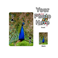 Peacock Animal Photography Beautiful Playing Cards 54 (mini)  by Amaryn4rt